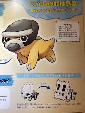 国立科学博物館　特別企画展「ポケモン化石博物館」に投稿された画像（2022/7/10）