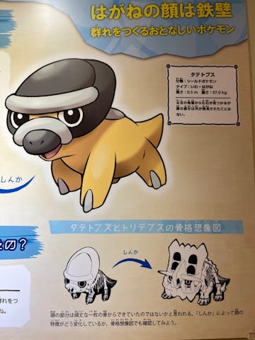 ポケモン化石博物館 特大 大型 ポスター ポケモン化石博物館」国立科学博物館で恐竜とポケモンの実物大