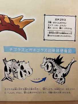 国立科学博物館　特別企画展「ポケモン化石博物館」に投稿された画像（2022/7/10）