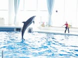 アクアワールド茨城県大洗水族館に投稿された画像（2022/7/11）