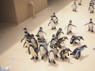 アクアワールド茨城県大洗水族館に投稿された画像（2022/7/10）