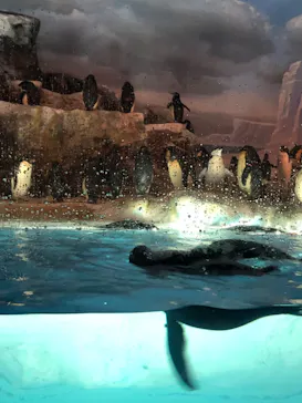 名古屋港水族館に投稿された画像（2022/7/11）