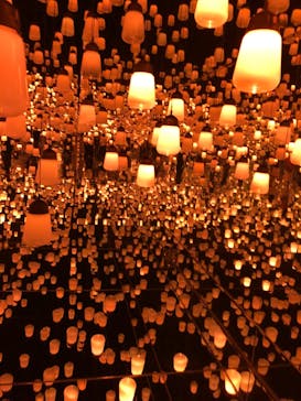 森ビル デジタルアート ミュージアム：エプソン チームラボボーダレスに投稿された画像（2022/7/11）