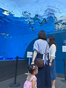 サンシャイン水族館に投稿された画像（2022/7/11）