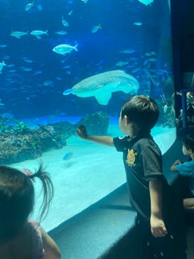 サンシャイン水族館に投稿された画像（2022/7/11）