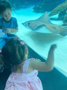 サンシャイン水族館に投稿された画像（2022/7/11）