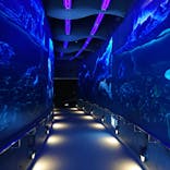 マリンワールド海の中道に投稿された画像（2022/7/11）