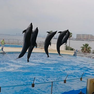 マリンワールド海の中道に投稿された画像（2022/7/11）