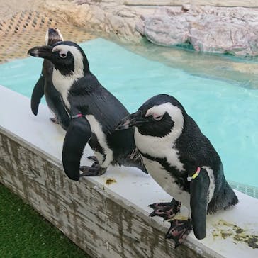 マリンワールド海の中道に投稿された画像（2022/7/11）