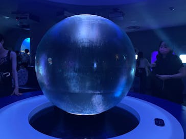 新江ノ島水族館に投稿された画像（2022/7/11）