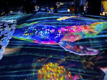 森ビル デジタルアート ミュージアム：エプソン チームラボボーダレスに投稿された画像（2022/7/11）