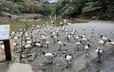 ネオパークオキナワに投稿された画像（2022/7/11）