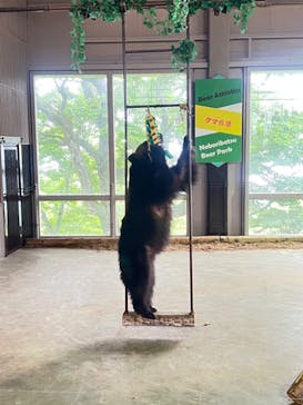 のぼりべつクマ牧場に投稿された画像（2022/7/11）