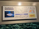 しながわ水族館に投稿された画像（2022/7/11）