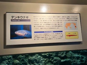 しながわ水族館に投稿された画像（2022/7/11）