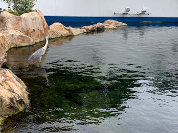 九十九島水族館海きららに投稿された画像（2022/7/11）