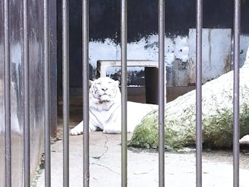 東北サファリパークに投稿された画像（2022/7/11）