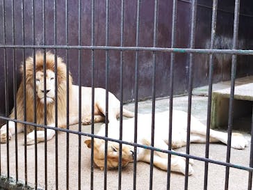 東北サファリパークに投稿された画像（2022/7/11）