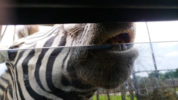 東北サファリパークに投稿された画像（2022/7/11）