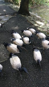 ネオパークオキナワに投稿された画像（2022/7/11）