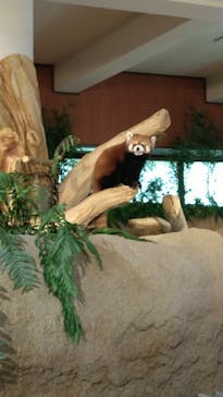 ネオパークオキナワに投稿された画像（2022/7/11）