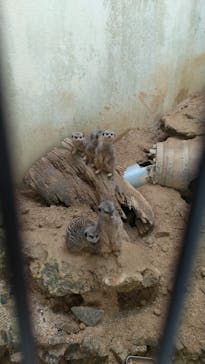 ネオパークオキナワに投稿された画像（2022/7/11）