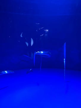 サンシャイン水族館に投稿された画像（2022/7/11）