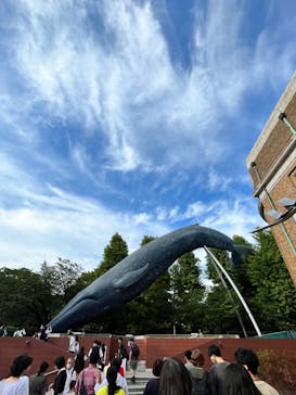 国立科学博物館に投稿された画像（2022/7/11）