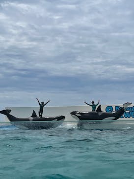 鴨川シーワールドに投稿された画像（2022/7/12）