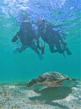 宮古島 ADVENTURE PiPi（ミヤコジマ アドベンチャー ピピ）に投稿された画像（2022/7/12）