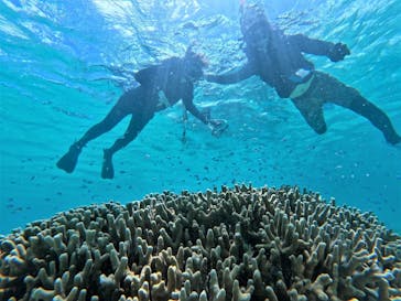 宮古島 ADVENTURE PiPi（ミヤコジマ アドベンチャー ピピ）に投稿された画像（2022/7/12）