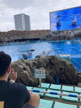 名古屋港水族館に投稿された画像（2022/7/12）