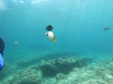 武藤潜水に投稿された画像（2022/7/12）