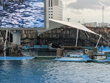 名古屋港水族館に投稿された画像（2022/7/12）