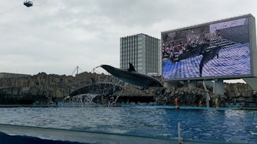 名古屋港水族館に投稿された画像（2022/7/12）