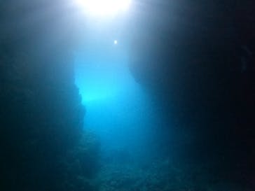 沖縄マリンサービス碧に投稿された画像（2022/7/12）