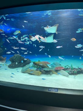 サンシャイン水族館に投稿された画像（2022/7/12）