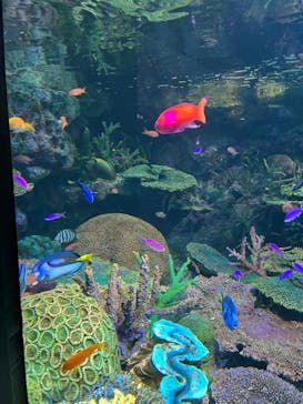 サンシャイン水族館に投稿された画像（2022/7/12）