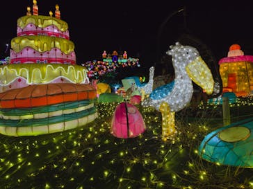 伊豆ぐらんぱる公園に投稿された画像（2022/7/12）