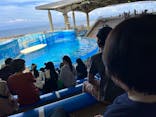新江ノ島水族館に投稿された画像（2022/7/13）