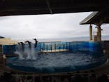 新江ノ島水族館に投稿された画像（2022/7/13）