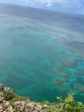 ちゃこたびに投稿された画像（2022/7/13）