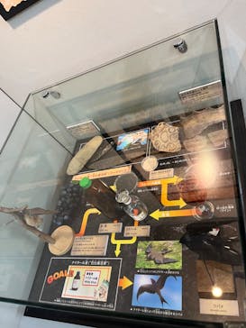 国立科学博物館に投稿された画像（2022/7/13）