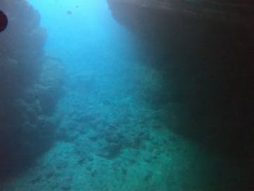 武藤潜水に投稿された画像（2022/7/13）