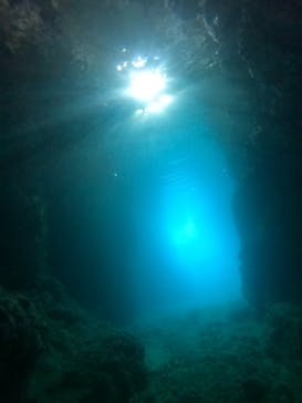 武藤潜水に投稿された画像（2022/7/13）