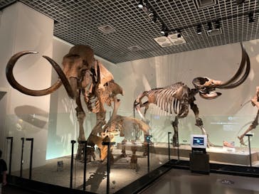 国立科学博物館に投稿された画像（2022/7/13）