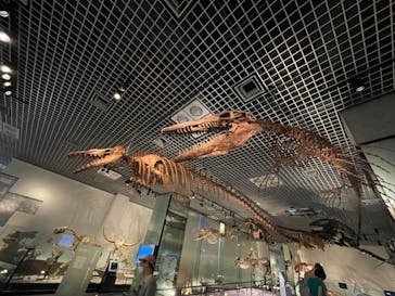 国立科学博物館に投稿された画像（2022/7/13）