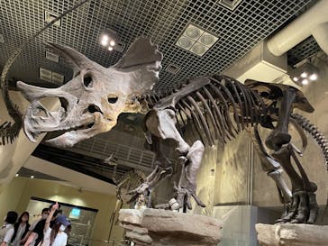 国立科学博物館に投稿された画像（2022/7/13）