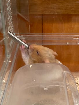 HARRY　原宿駅前店に投稿された画像（2022/7/13）