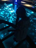 すみだ水族館に投稿された画像（2022/7/13）